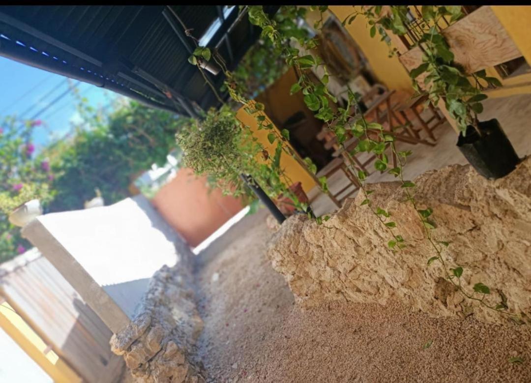 Casa Abanico Tulum Otel Dış mekan fotoğraf