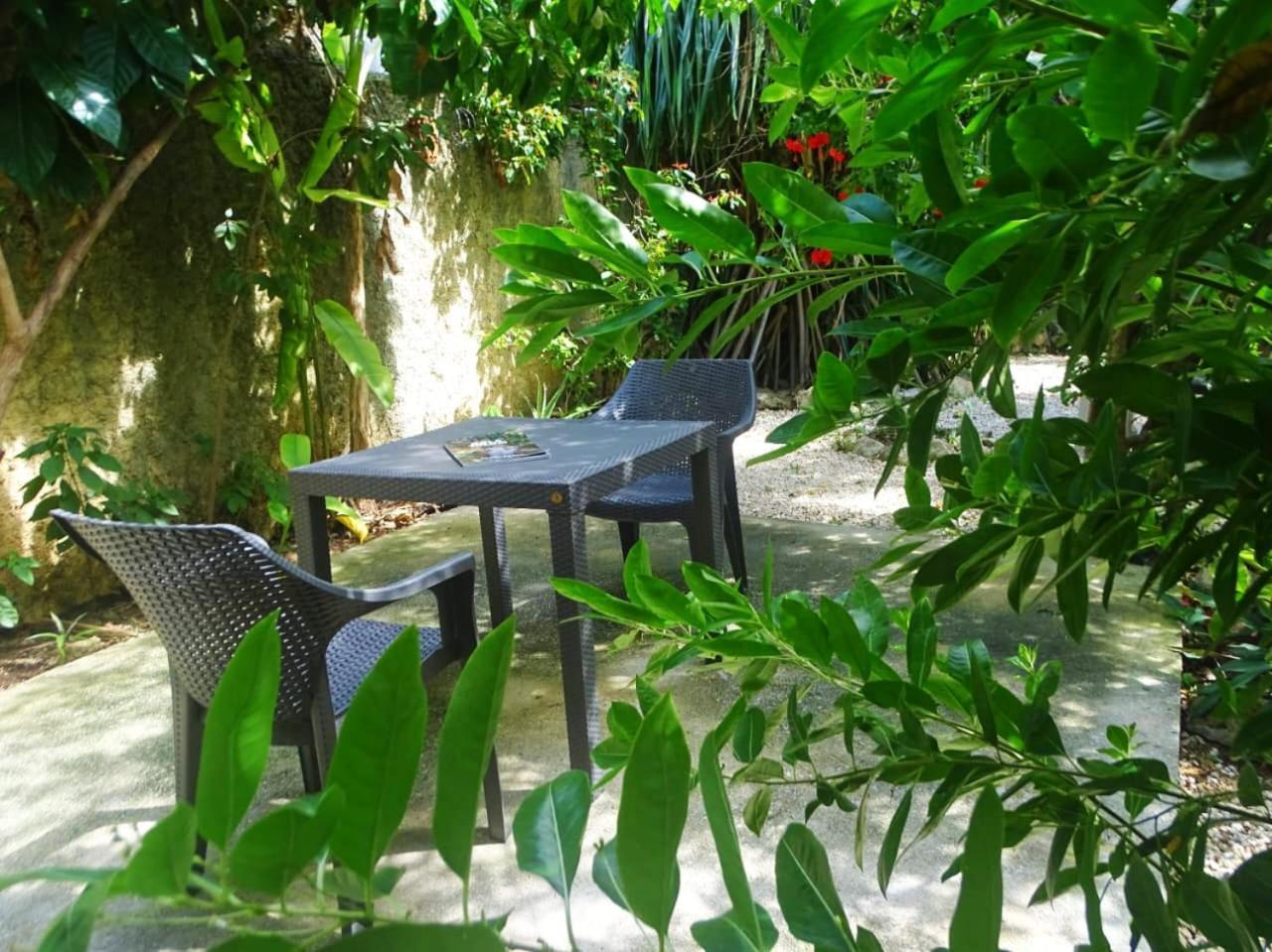 Casa Abanico Tulum Otel Dış mekan fotoğraf