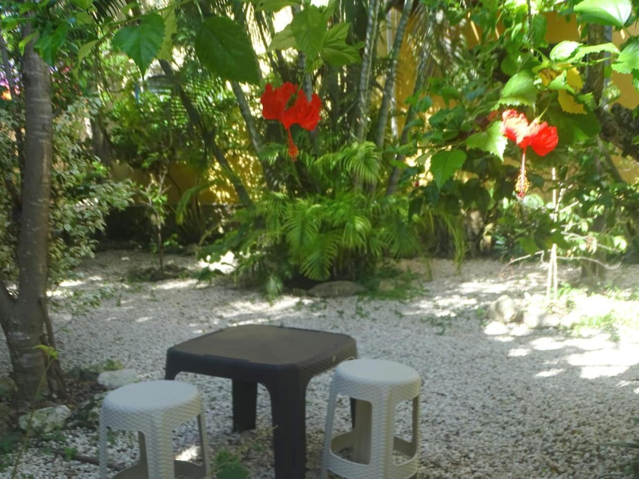 Casa Abanico Tulum Otel Dış mekan fotoğraf